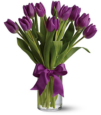 Passionate Purple Tulips from Racanello Florist in Stamford, CT